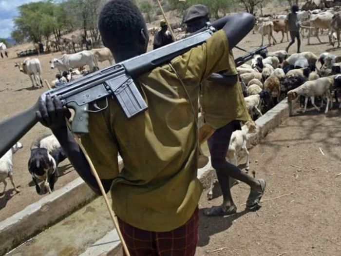 Conflicts between nomadic herdsmen and farming communities